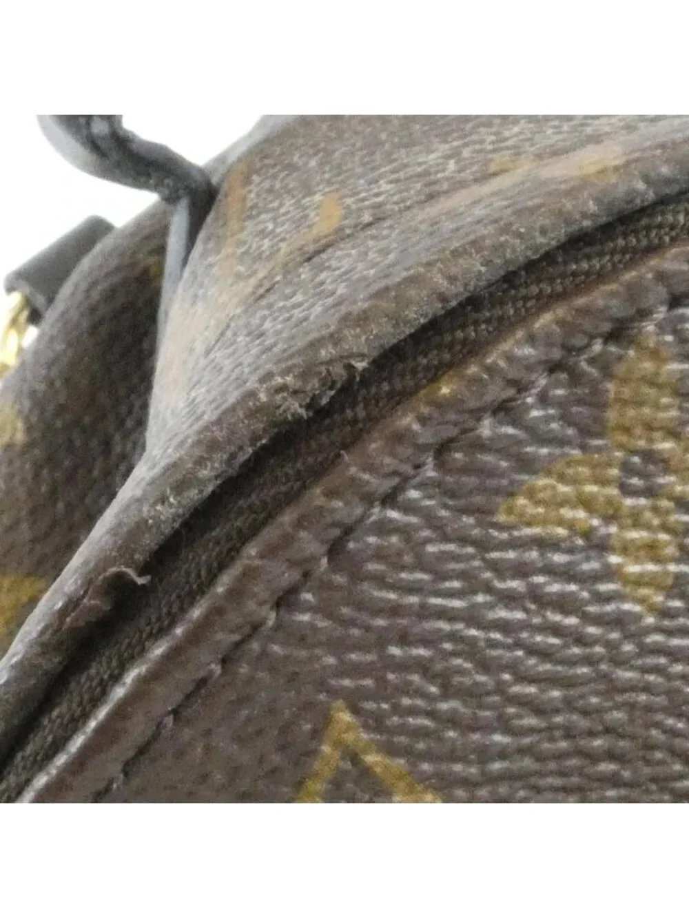 Louis Vuitton Monogram Palm Springs Backpack Mini